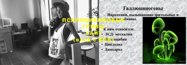 шишки Армянск