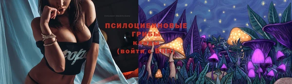 Альфа ПВП Арсеньев