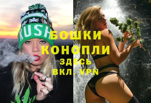 шишки Армянск