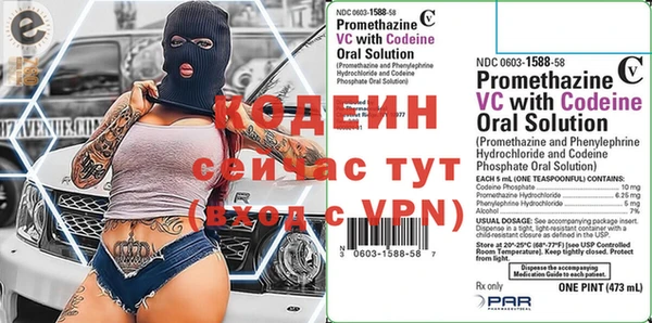 стаф Покачи