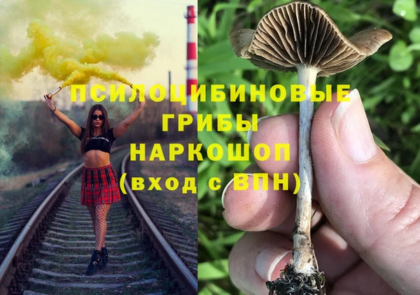 Альфа ПВП Арсеньев