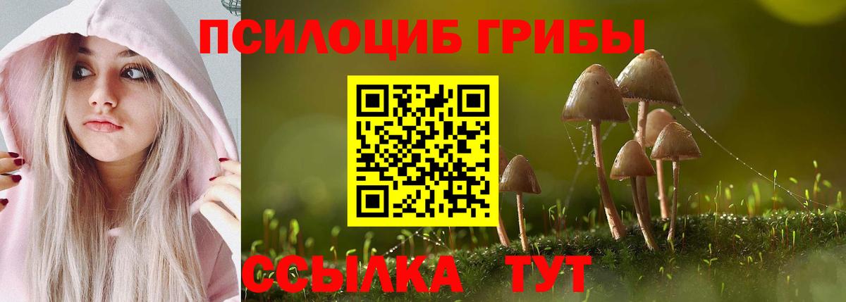 Псилоцибиновые грибы Cubensis Междуреченск